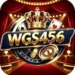 WGS456 Game icon
