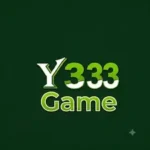 Y333 Game icon
